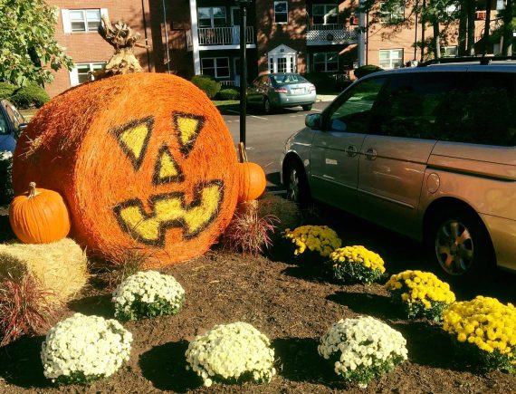 a fall garden complete with a punkin colored hay bail