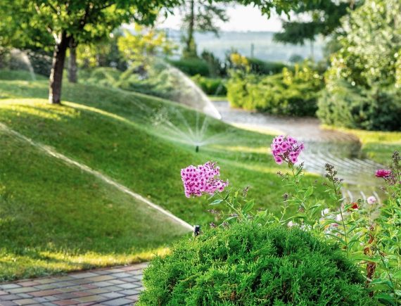 irrigation in the spring