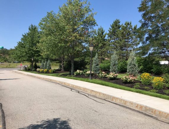 a nicely maintained/arranged garden with trees and flows along a road