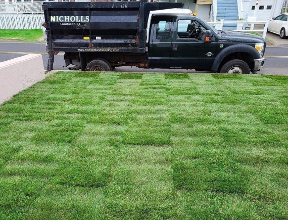 urban landscape with fresh sod nicholls work truck in background