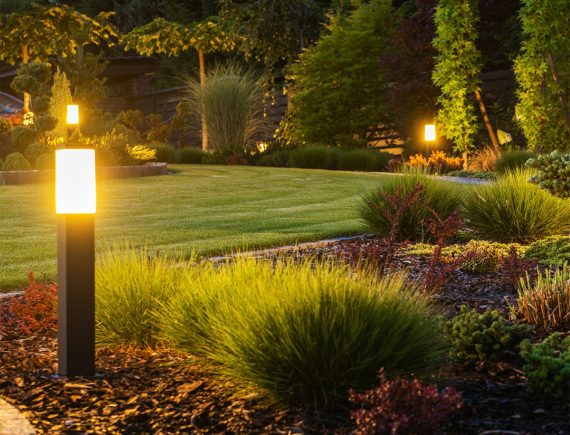 garden bed with lighting at dusk